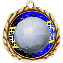 2-1/2" Wreath Color Insert Volleyball Medal O32A-FCL-572