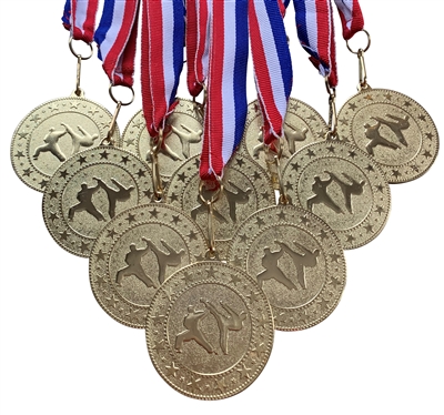 10 pack of 2" Express Series Martial Arts Medals 10pk-DSS019