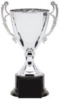 Silver Metal Trophy Cup