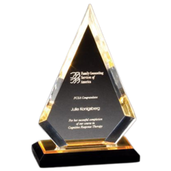8-3/4" Impress Reflections Acrylic Awards