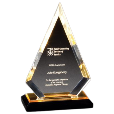 8-3/4" Impress Reflections Acrylic Awards