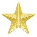 Chennile - Star Pin CL-62