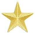 Chennile - Star Pin CL-62