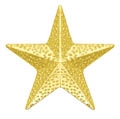 Chennile - Star Pin CL-62