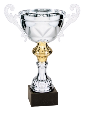 10-3/4" Silver Trophy Cup with Marble Base