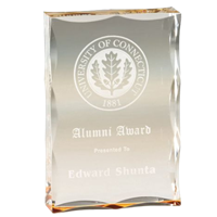 6" Scalloped Edge Acrylic Awards (CP11L)