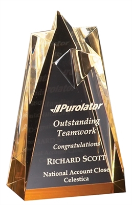 6" Gold Star Acrylic Award Trophy