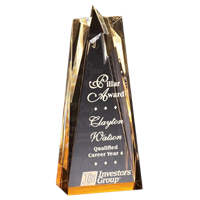 8" Gold Star Acrylic Award Trophy