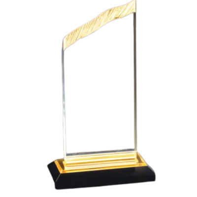 8" Chisel Top Acrylic Awards