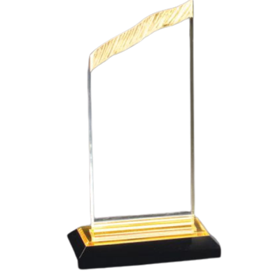 9" Chisel Top Acrylic Awards