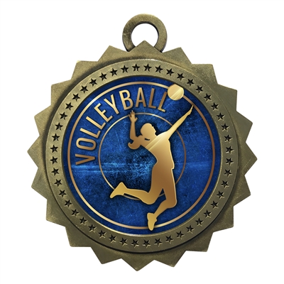 3" Volleyball Medal