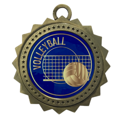 3" Volleyball Medal