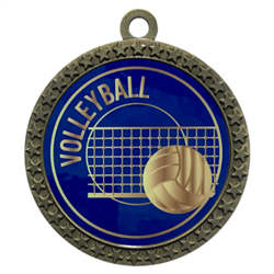 2-1/2" Volleyball Medal
