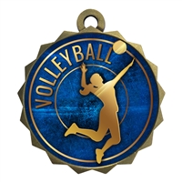 2-1/4" Volleyball Medal