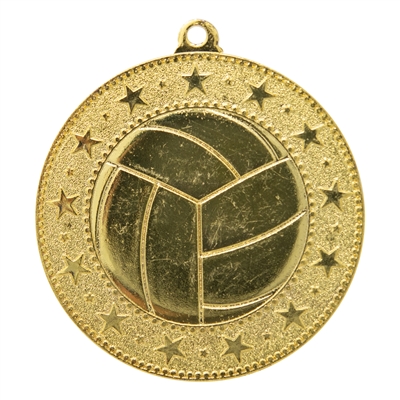 2" Express Series Volleyball Medal DSS026