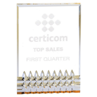 6" Gold Reflective Diamond Series Acrylic Award (DT10B)