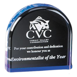 4" Dome Acrylic Awards