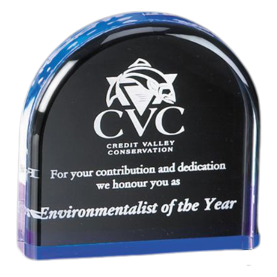 4" Dome Acrylic Awards