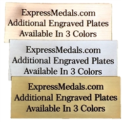 Extra Engraved Plates 6 to 7 Inch Wide