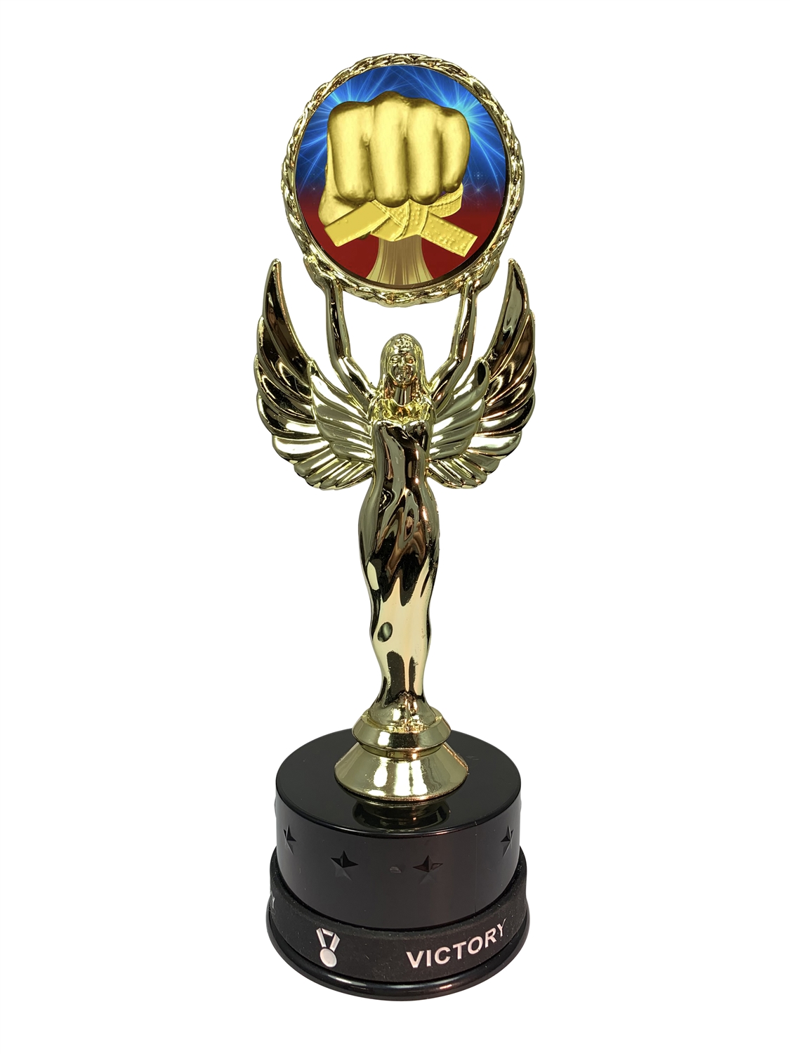 KUNG FU MARTIAL ART TROPHY TROPHIES ACRYLIC *FREE ENGRAVING* 100mm *4 SIZES*