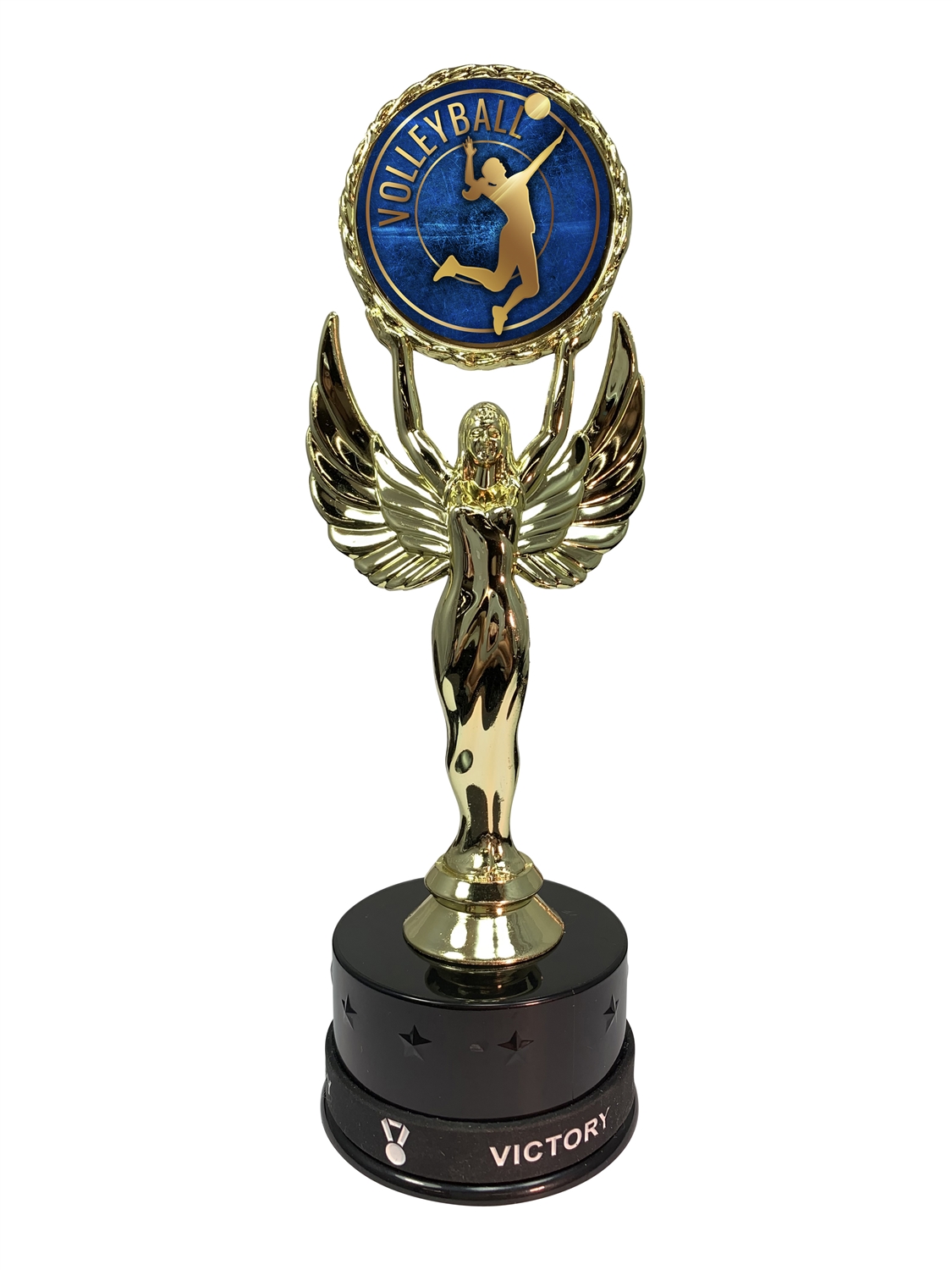 Volleyball Victory Wristband Trophy