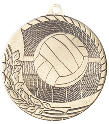 2" Economy Volleyball Medal M1217