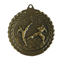 2-3/4" Karate Medal MS111