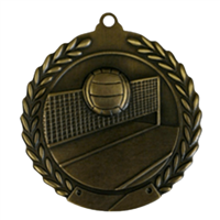 2-3/4" Volleyball Medal MS117