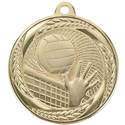 2" Bright Economy Volleyball Medal (MS417)