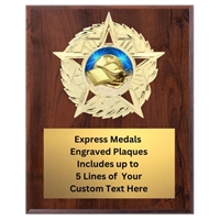 Star Mount Scholastic Plaque (4 Sizes)