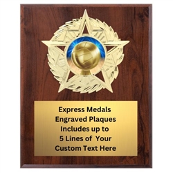 Star Mount Volleyball Plaque (4 Sizes)