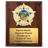 Star Mount Hockey Plaque (4 Sizes)