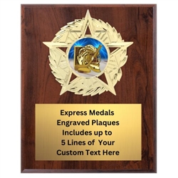 Star Mount Hockey Plaque (4 Sizes)