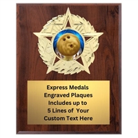 Star Mount Bowling Plaque (4 Sizes)