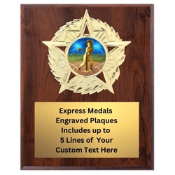 Star Mount T-Ball Plaque (4 Sizes)