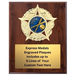 Star Mount Baseball Plaque (4 Sizes)