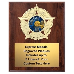 Star Mount Basketball Plaque (4 Sizes)