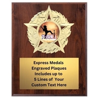 Star Mount T-Ball Plaque (4 Sizes)