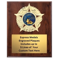 Star Mount Fantasy Football Plaque (4 Sizes)