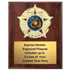 Star Mount Softball Plaque (4 Sizes)