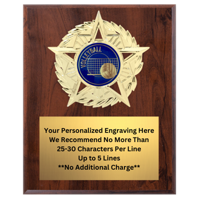 Star Mount Volleyball Plaque (4 Sizes)