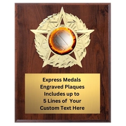 Star Mount Volleyball Plaque (4 Sizes)