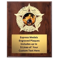 Star Mount Bowling Plaque (4 Sizes)