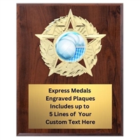 Star Mount Volleyball Plaque (4 Sizes)