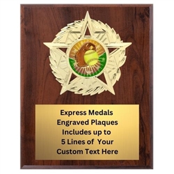 Star Mount Softball Plaque (4 Sizes)