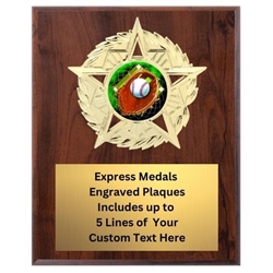 Star Mount Baseball Plaque (4 Sizes)