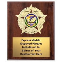 Star Mount Rugby Plaque (4 Sizes)