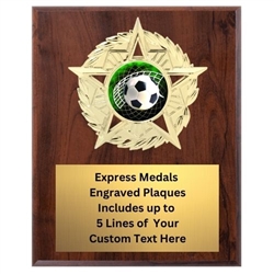 Star Mount Soccer Plaque (4 Sizes)
