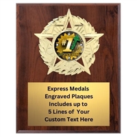 Star Mount Top Sales Plaque (4 Sizes)