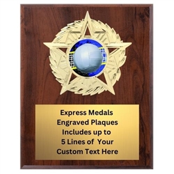 Star Mount Volleyball Plaque (4 Sizes)